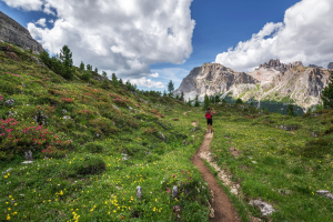 experiences hiker dose